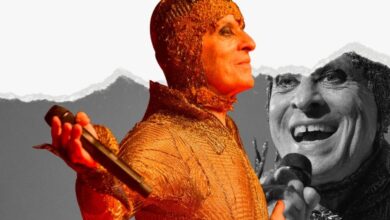 Ney Matogrosso Goiânia, Ney Matogrosso em Goiânia, Ney Matogrosso, Ney Matogrosso Bloco na Rua Goiânia, show Ney Matogrosso Goiânia