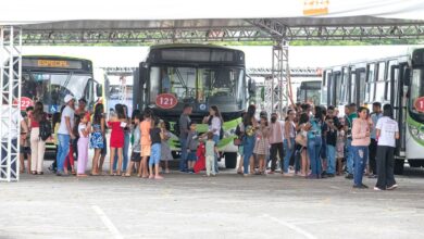 entrega de brinquedos do Natal do Bem 2025, rotas gratuitas de ônibus, rotas gratuitas de ônibus entrega de brinquedos do Natal do Bem 2025, Natal do Bem 2025, ônibus gratuitos natal do bem