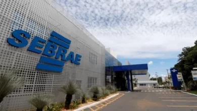 Sebrae Goiás resultados 2025, Sebrae Goiás, Sebrae Goiás atendimentos, Sebrae Goiás coletiva de imprensa, Sebrae Goiás coletiva de imprensa resultados 2025