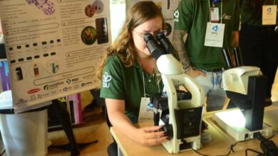 bolsas mestrado doutorado Goiás, bolsas mestrado doutorado Fapeg Goiás, bolsas Fapeg Goiás, bolsas de formação mestrado doutorado Fapeg Goiás, bolsas de formação Fapeg Goiás