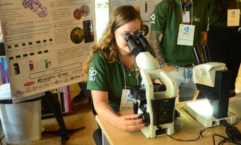 bolsas mestrado doutorado Goiás, bolsas mestrado doutorado Fapeg Goiás, bolsas Fapeg Goiás, bolsas de formação mestrado doutorado Fapeg Goiás, bolsas de formação Fapeg Goiás
