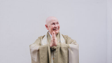 Monja Coen, Monja Coen Goiânia, Monja Coen em Goiânia, palestra Monja Coen Goiânia, palestra Monja Coen em Goiânia