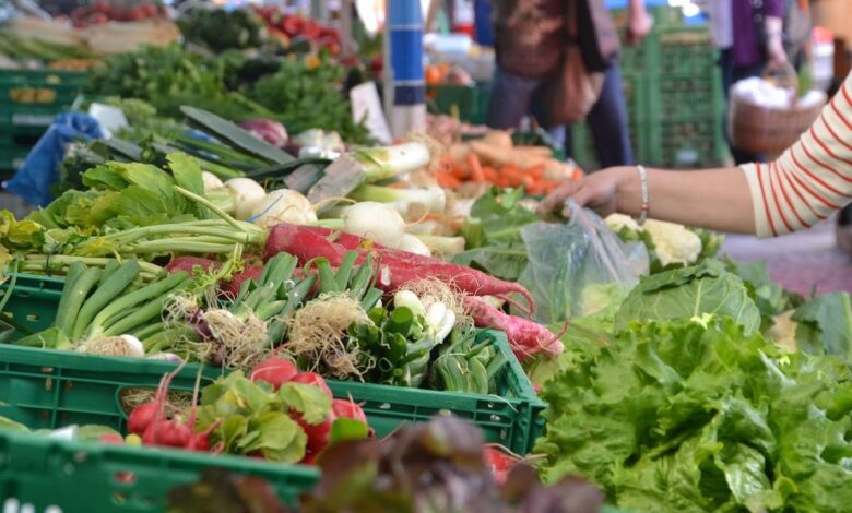 Feira da Agricultura Familiar e Economia Criativa, Feira da Agricultura Familiar e Economia Criativa Goiânia, Feira da Agricultura Familiar Goiânia, Feira Agricultura Familiar Goiânia, Feira Agricultura Familiar