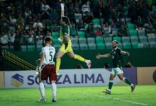 goiás fluminense pi, goiás fluminense pi copa do brasil, Goiás vence o Fluminense-PI, Goiás x Fluminense-PI, Goiás
