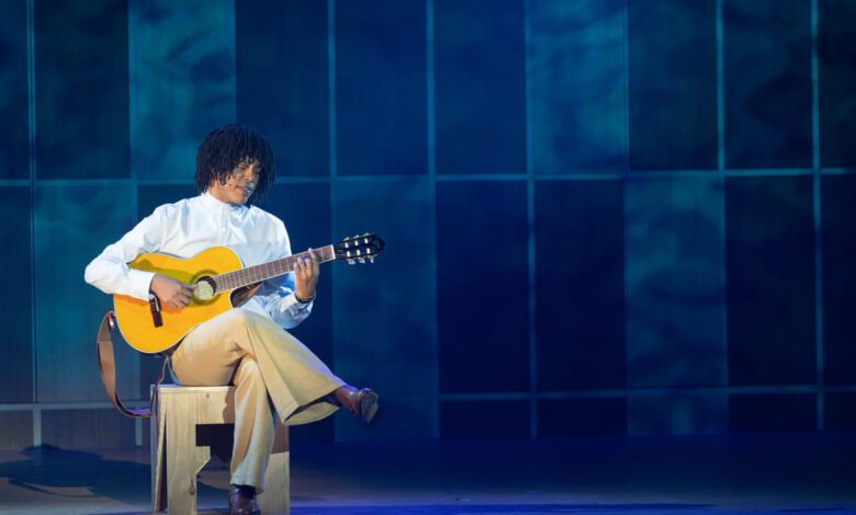 Djavan – O Musical: Vidas pra Contar, musical Djavan em Goiânia, musical Djavan Goiânia, Djavan O Musical Goiânia, Djavan O Musical Vidas pra Contar