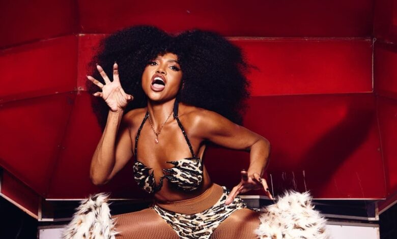 Festival Bananada 2026, Festival Bananada, Bananada 2026, line up Bananada 2026, primeiras atrações Bananada 2026