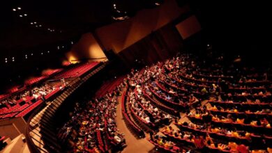 Plateia Social Criativa, Plateia Social Criativa Goiânia, Instituto Brasil Criativo, Plateia Social Criativa Bruna Louise, Bruna Louise em Goiânia