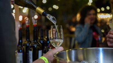 Wine Jazz Piri, Wine Jazz Piri 2026, programação Wine Jazz Piri 2026, Moreno Veloso Wine Jazz Piri, Wine Jazz Piri Pirenópolis