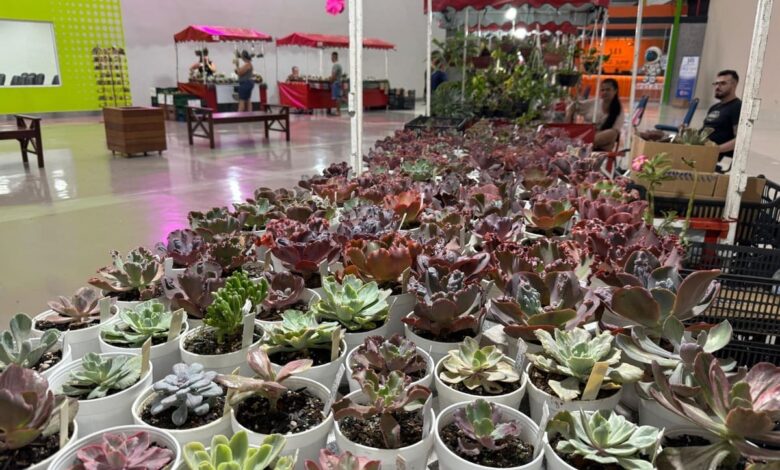 Bazar Estação das Plantas, Bazar Estação das Plantas Goiânia, Bazar Estação das Plantas Shopping Estação Goiânia, Shopping Estação Goiânia, Bazar Plantas Goiânia