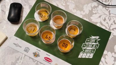 Copa Cerveja Brasil, 6ª Copa Cerveja Brasil, Copa Cerveja Brasil Pirenópolis, Conexão Cerveja Brasil 2026 Pirenópolis, Conexão Cerveja Brasil Pirenópolis