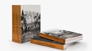 Siron Franco, monografia Siron Franco, Pensamentos Insubordinados Siron Franco, livro Siron Franco, lançamento livro Siron Franco Sesc Goiás