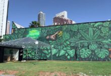 mural Decy Goiânia, novo mural ao ar livre Goiânia, novo mural Decy Goiânia, mural UP Incorporadora Goiânia, novo mural Goiânia
