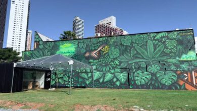 mural Decy Goiânia, novo mural ao ar livre Goiânia, novo mural Decy Goiânia, mural UP Incorporadora Goiânia, novo mural Goiânia