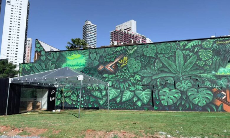 mural Decy Goiânia, novo mural ao ar livre Goiânia, novo mural Decy Goiânia, mural UP Incorporadora Goiânia, novo mural Goiânia