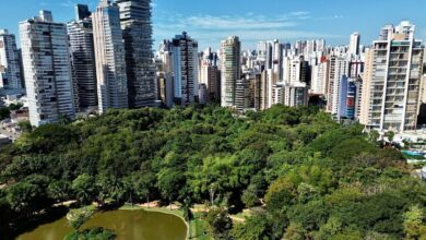 Goiânia prêmio internacional mudanças climáticas, Goiânia recebe prêmio mudanças climáticas, Goiânia prêmio mudanças climáticas, Goiânia reconhecimento internacional mudanças climáticas, Goiânia mudanças climáticas
