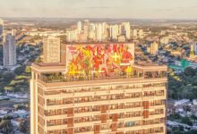 mural Bicicleta Sem Freio em Goiânia, mural do Bicicleta Sem Freio, Bicicleta Sem Freio em Goiânia, rooftop em Goiânia, novo mural em Goiânia