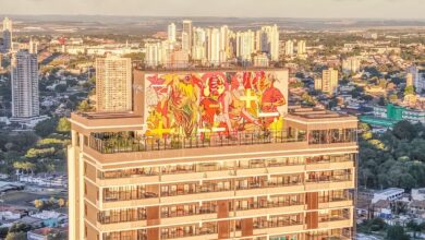 mural Bicicleta Sem Freio em Goiânia, mural do Bicicleta Sem Freio, Bicicleta Sem Freio em Goiânia, rooftop em Goiânia, novo mural em Goiânia