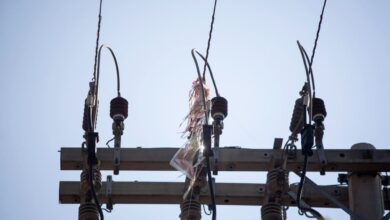 pipas na rede elétrica Goiás, pipas na rede elétrica em Goiás, pipas na rede elétrica, pipas rede elétrica Goiás, rede elétrica em Goiás