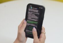 renovação CNH WhatsApp Goiás, Carteira de Identidade Nacional WhatsApp Goiás, serviços públicos WhatsApp Goiás, solicitar serviços públicos WhatsApp Goiás, WhatsApp serviços públicos Goiás