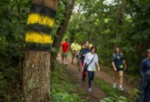 trilhas Goiás catálogo nacional Ministério do Turismo, Caminho de Cora Coralina, Caminho dos Veadeiros, trilha Caminho de Cora Coralina, trilha Caminho dos Veadeiros, trilhas Goiás