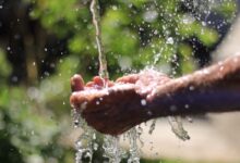 consumo consciente de água, Saneago, período de estiagem em Goiás, estiagem em Goiás, consumo de água Goiás