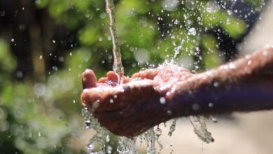 consumo consciente de água, Saneago, período de estiagem em Goiás, estiagem em Goiás, consumo de água Goiás