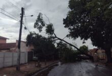 Goiás extremos climáticos, extremos climáticos Goiás, ventos fortes chuvas Goiás, chuvas Goiás, calor Goiás
