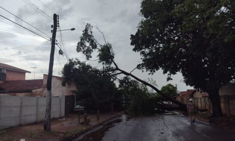 Goiás extremos climáticos, extremos climáticos Goiás, ventos fortes chuvas Goiás, chuvas Goiás, calor Goiás