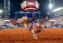 pbr caldas novas, pbr em caldas novas, Caldas Rodeo 2026, etapa pbr caldas novas, pbr