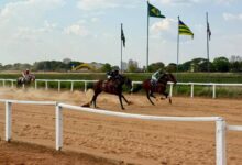 corridas de cavalos Goiânia, corridas de cavalos aniversário de Goiânia, corridas de cavalos Hipódromo da Lagoinha, Hipódromo da Lagoinha, corridas de cavalos Jóquei Clube de Goiás