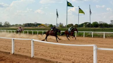 corridas de cavalos Goiânia, corridas de cavalos aniversário de Goiânia, corridas de cavalos Hipódromo da Lagoinha, Hipódromo da Lagoinha, corridas de cavalos Jóquei Clube de Goiás