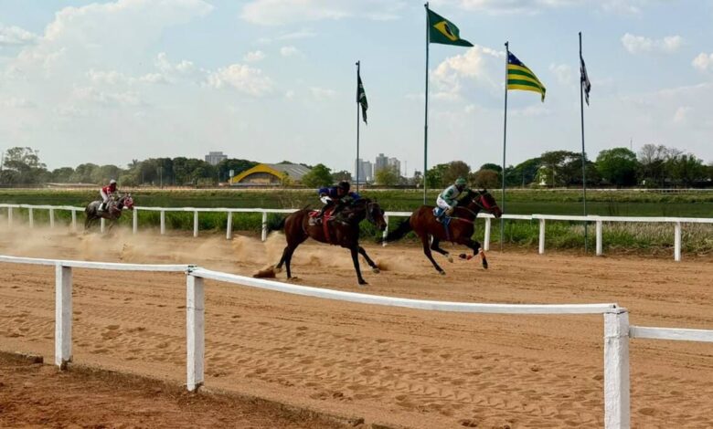 corridas de cavalos Goiânia, corridas de cavalos aniversário de Goiânia, corridas de cavalos Hipódromo da Lagoinha, Hipódromo da Lagoinha, corridas de cavalos Jóquei Clube de Goiás