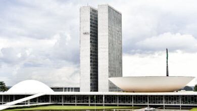 deputados federais eleitos Goiás 2026, 17 deputados federais eleitos por Goiás nas Eleições 2026, deputados federais eleitos por Goiás 2026, deputados federais Goiás 2026, deputados federais eleitos Goiás