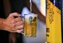 Go Beer, Go Beer Festival, Go Beer Aparecida de Goiânia, Go Beer Aparecida Shopping, Go Beer Aparecida