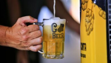 Go Beer, Go Beer Festival, Go Beer Aparecida de Goiânia, Go Beer Aparecida Shopping, Go Beer Aparecida