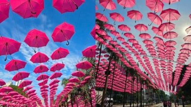 túnel de guarda-chuvas cor de rosa Goiânia, guarda-chuvas cor de rosa Goiânia, túnel de guarda-chuvas cor de rosa Praça Tamandaré, guarda-chuvas rosa Goiânia, Praça Tamandaré Goiânia