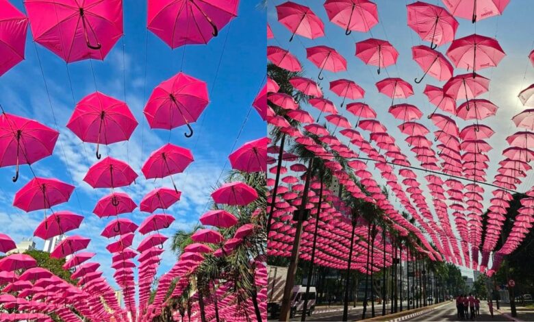 túnel de guarda-chuvas cor de rosa Goiânia, guarda-chuvas cor de rosa Goiânia, túnel de guarda-chuvas cor de rosa Praça Tamandaré, guarda-chuvas rosa Goiânia, Praça Tamandaré Goiânia